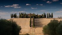 Discover Chianti: Half-Day Tour
