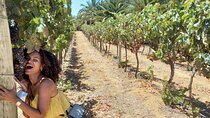 Wine Lovers: Winery, Wine Tasting, Chicken Piri Piri & Sights 