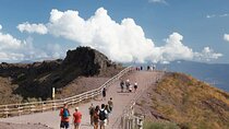 Mt. Vesuvius (Tour+Transfer)