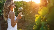 Half Day Stellenbosch Winelands Private Tour from Cape Town
