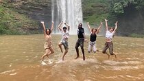 The Botanical Gardens and Water Falls Experience - Private Tour 