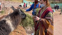 Voluntering at the Cochahuasi Sanctuary