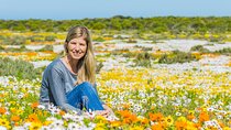 Cape West Coast Full Day Private Day Tour