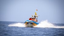 SEA SAFARI Dolphins,Whales, snorkeling, snack, drink, 3h private 