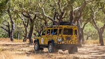 Jeep Safari Tour - Half Day