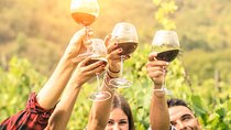 Barossa and Hahndorf Wine Tasting and Sightseeing Tour