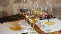 Private Wine Tasting Under the Guidance of a Sommelier in Rhodes