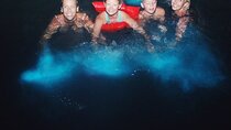 Glistening Waters Luminous Lagoon Tour from Montego Bay 