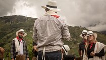 Best Coffee Tour from Medellin with Lunch and Transportation