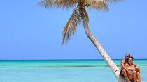 Saona Island tour: All buffet, speedboat catamaran