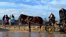 Alexandria By Night Private Free Walking Tours & Horse Carriage Ride