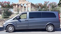  Paestum and Buffalo Farm Day Tour from Sorrento