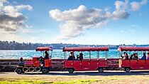 Explore Sydney's Botanic Gardens In a Series of Fun Cryptic Clues