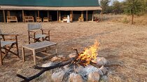 Camping Safari Great Adventure - 5 Day 