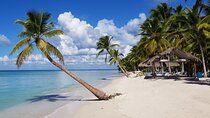 Full Day Tour to Saona Island by Catamaran and Speedboat