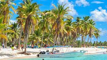 Full-Day Saona Island Tours All Inclusive
