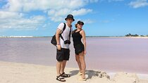 Ek Balam + Private Rio Lagartos Flamingo and Pink Lakes