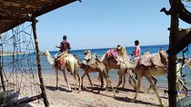 Full Day In Dahab From Sharm El Sheikh Snorkel & Camel Ride, Quad Bike 