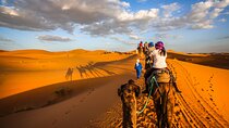Shared Group Desert Tour Fes To Marrakech Via Merzouga 3 Days