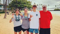 Full Day Private Customized Sightseeing Tour in Oahu Hawaii