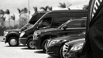 One-Way Transfer from the Airport to the Cruise Port