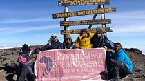 7 Days Machame Route, Kilimanjaro Climbing 