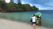 Prison Island, Stone Town and Spice Farm Private Tour