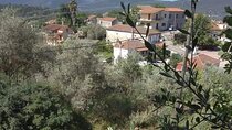 Olive oil tour - from Athens