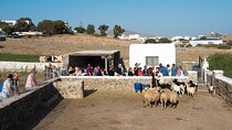 Mykonian Farm Entrance Ticket 