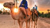 Agafay Desert Adventure : Quad Biking, Camel Riding, and Dinner 