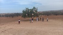 Essaouira Full-Day Guided Trip from Marrakech
