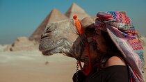  13 Days 12 Nights Egypt Holiday Package