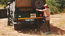 All Inclusive 4 Day Kruger South to Central Safari - from JHB