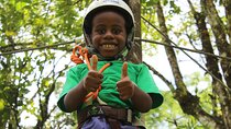Tree climbing among the araucarias