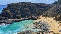 Oahu Island Experience feat the North Shore (Small Group Tour)