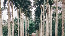 Quad Biking, Landmark Tours and Dinner in Aburi