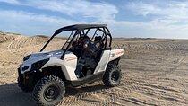 Shared 1 Hour and 30 Minutes Side by Side Desert and Beach Tour