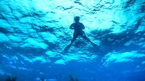Austin Wellness Yacht Charter Experience on Lake Travis