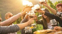 Yarra Valley, Dandenong Ranges inc. lunch with wine,plus morning tea,chocolate