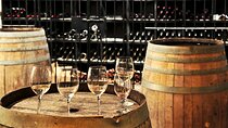 Chianti Lovers Tour- 2 Wineries and SuperTuscan Small Group from Lucca