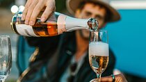 Small Group tour to Stellenbosch with wine tasting 