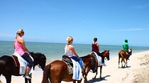 Horse Back riding Excursion
