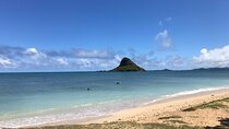 Private Circle Island Full Day up to 14 people (Se habla Español)