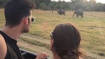 Kandy Sigiriya Day Trip by tuk,tuk/car/van