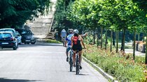 Hangzhou Lake Cycling - Half-day Local-Guided West Lake Cycling Tour