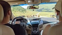 Kazbegi, Gergeti, Gudauri, Ananuri, Mtskheta | Tatin Travel 