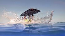 Clear Boat with City Tour
