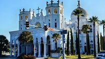 All day Galveston Tour From Houston with Tall Ship Elissa & Dolphin Watch