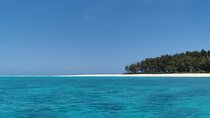 Private Ocean Safari 