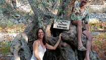 Rethymnon Olive Tree Sponsorship Protect and Plant Tour